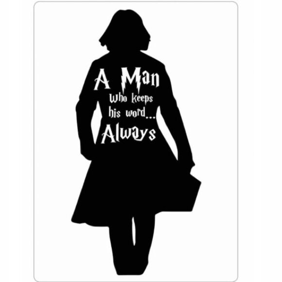 Harry Potter Severus Magnet - Picture 3 of 5